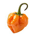 Dein Rezept mit Habanero Orange